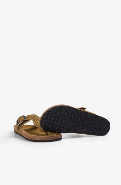 Scalpers Bio T Studs Sandal In Multi