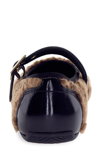 Candice Cooper Dafne Bird High Pile Fleece Flat In Brown