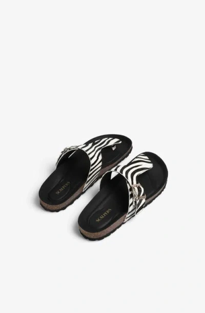 Scalpers Bio Zebra Sandal In Animal Print