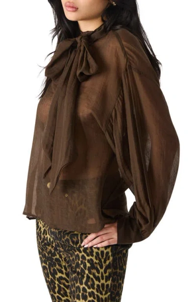 Steve Madden Women's Sutton Bow Tie Neck Top In Brown