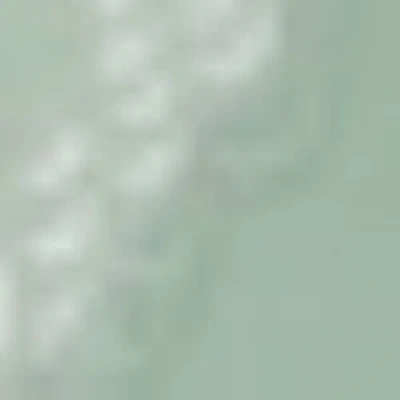 Hunkemoller Andrea Thong In Green