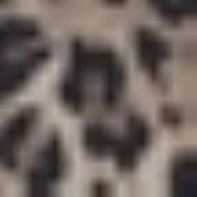 Hunkemoller Luxe Animalia Shaping Bathing Suit In Animal Print