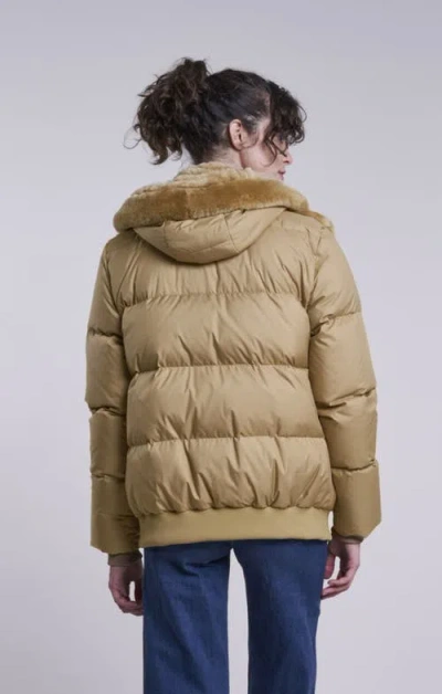 Blue Duck Down Jacket In Brown