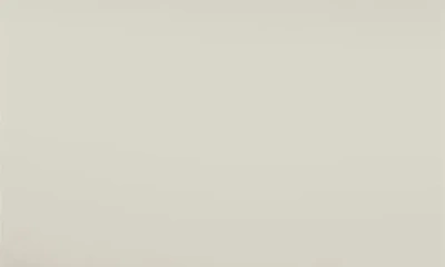 Zwilling Pure Stainless Steel Ceramic Nonstick 11" Fry Pan In White