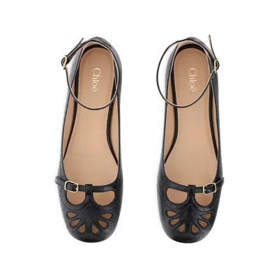 Chloé Black Misty Ballerinas In Black