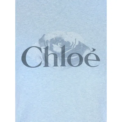 Chloé Logo Cotton Ringer Graphic T-shirt In Blue