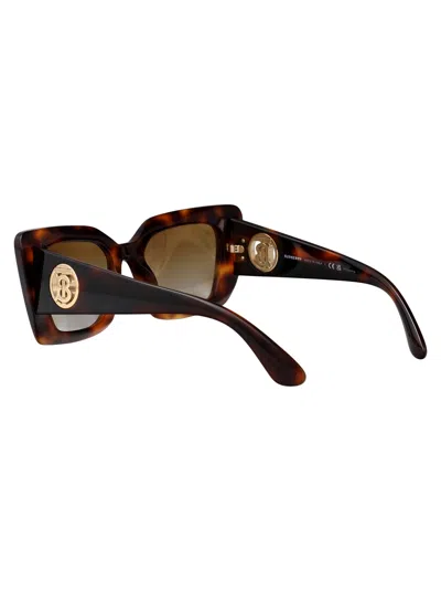 Burberry Light Havana Acetate Sunglasses In Brown