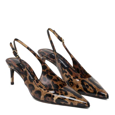 Dolce & Gabbana Animalier Brown Calf Leather With Heel In Multi
