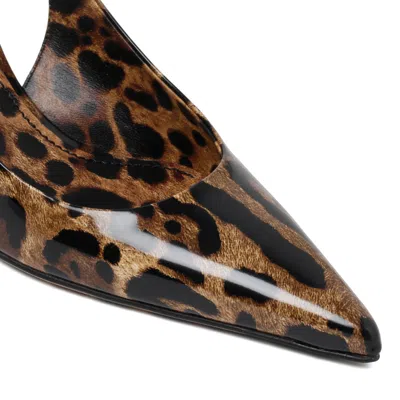 Dolce & Gabbana Animalier Brown Calf Leather With Heel In Multi