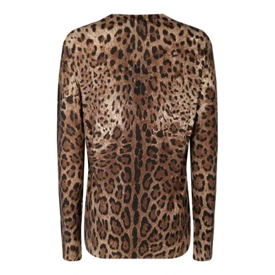 Dolce & Gabbana Animalier Brown Cashmere Sweaters In Brown