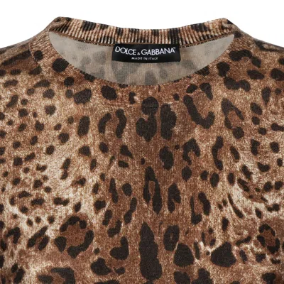 Dolce & Gabbana Animalier Brown Cashmere Sweaters In Brown