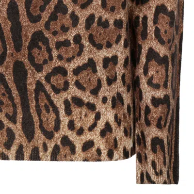 Dolce & Gabbana Animalier Brown Cashmere Sweaters In Brown