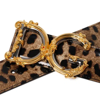 Dolce & Gabbana Camel Brown Calf Leather Belts In Brown