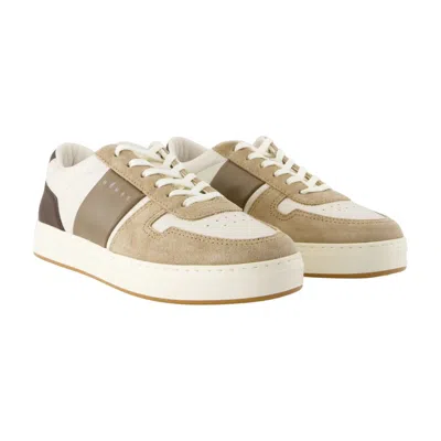Hogan Low-top Sneakers Featuring Leather Inserts In Brown