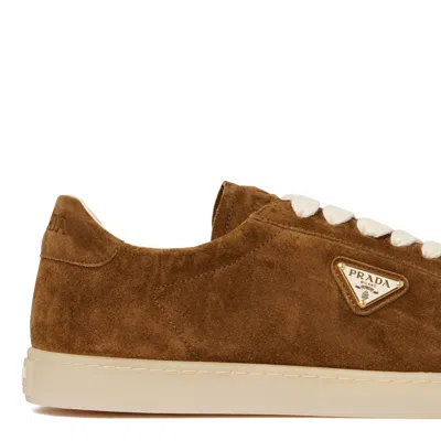Prada Cotton Sigaro Sneakers In Brown