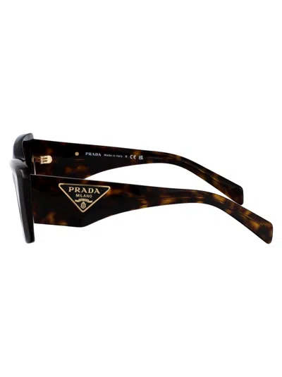 Prada Tortoise Acetate Sunglasses In Brown
