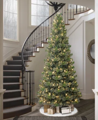 Puleo 9' Pre-lit Artificial Oklahoma Pine Tree In Green