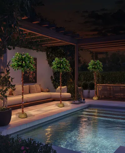 Puleo 4' Pre-lit Artificial Palm Tree With Multi-color Lights In Green