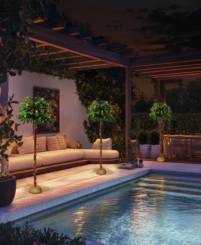 Puleo 4' Pre-lit Artificial Palm Tree With Multi-color Lights In Green