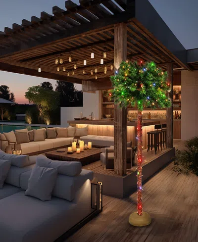 Puleo 4' Pre-lit Artificial Palm Tree With Multi-color Lights In Green