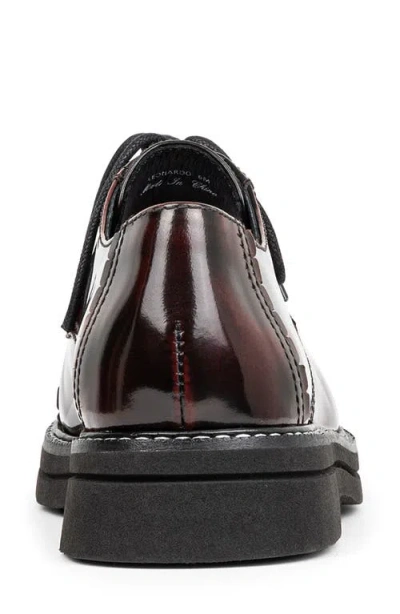 Donald Pliner Leonardo Cap Toe Derby In Burgundy