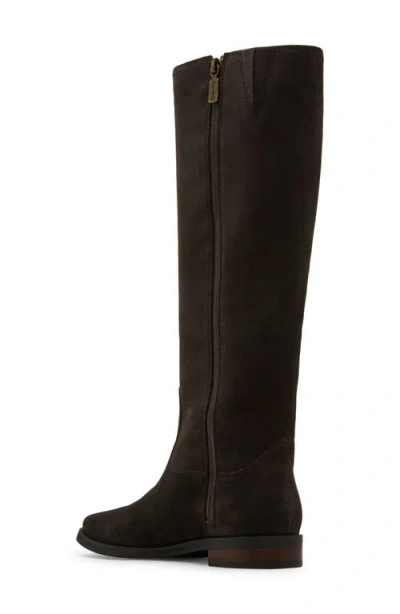 Blondo Deacon Knee High Waterproof Riding Boot In Brown