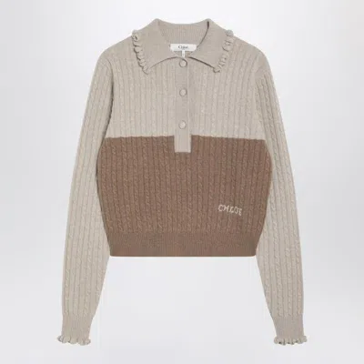 Chloé Two-tone Wool And Cashmere Cable-knit Sweater Women In Brown