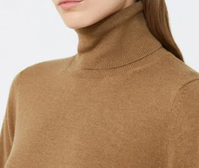 Max Mara Sweaters In Brown