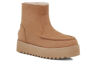 Ugg (wmns)  Classic Rising Heel-zip In Brown