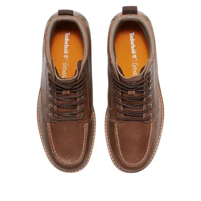 Timberland Redwood Edge Mid Boot 'dark Brown'