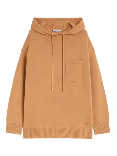 Max Mara Wool And Cashmere Hoodie In Brown
