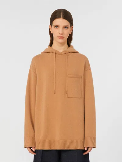 Max Mara Wool And Cashmere Hoodie In Brown