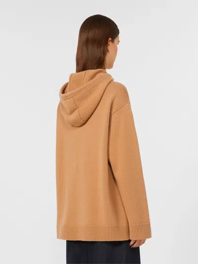 Max Mara Wool And Cashmere Hoodie In Brown