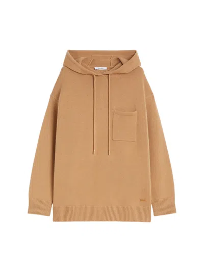 Max Mara Wool And Cashmere Hoodie In Brown