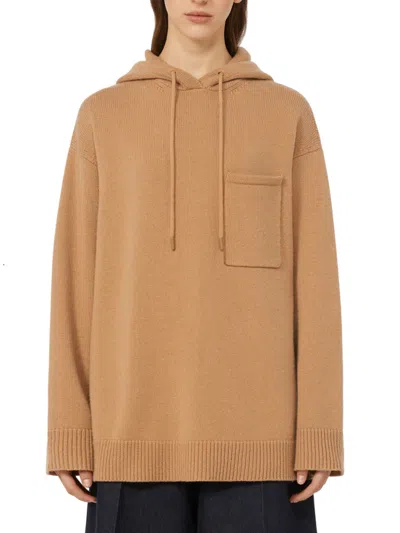 Max Mara Wool And Cashmere Hoodie In Brown