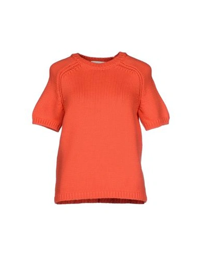 Cedric Charlier Sweaters In Coral