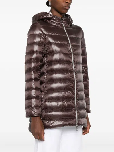 Herno Chocolate Colored Quilted Down Jacket In Brown