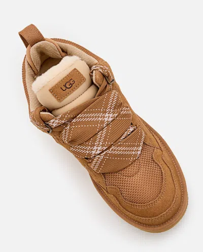 Ugg Low. In Brown