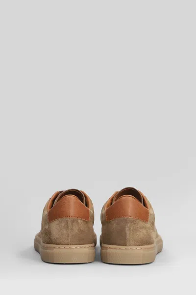 Common Projects Field Trainer Sneakers In Camel Suede In Brown