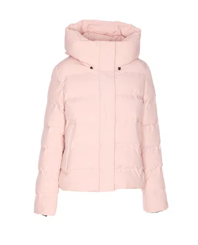 Save The Duck Pink Down Jacket Frontal Buttons Closure In Pink