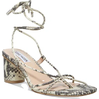 Steve Madden Ivanna Womens Leather Strappy Dress Sandals In Multi