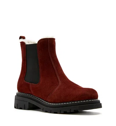 La Canadienne Derrick Shearling-lined Suede Chelsea Booties In Multi