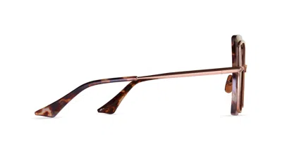 Dita Sunglasses In Brown