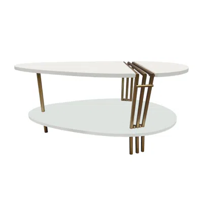 Hivvago 36 Inch Modern Coffee Table, Oval Elliptical Shape, White Mango Wood With Antique Brass In White