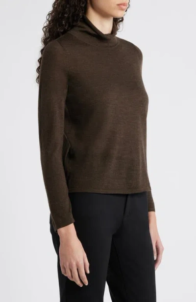 Eileen Fisher Fine Gauge Wool Turtleneck Sweater In Brown