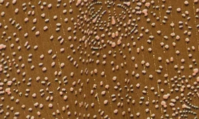 Dr2 By Daniel Rainn Surplice V-neck Wrap Top In Brown