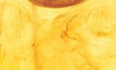 Tasha Set Of 2 Resin Hoop Earrings In Multi