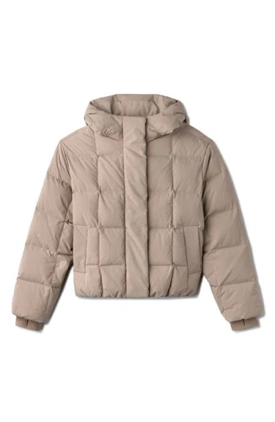 Rhone Powder 650 Fill Power Down Puffer Jacket In Brown