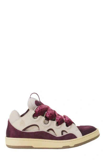 Lanvin Curb Leather Sneakers In Multi
