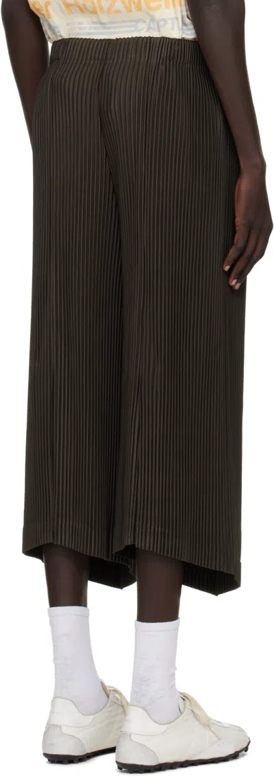 Issey Miyake Monthly Color June Pants In Brown